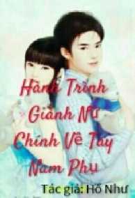 Hành Trình Giành Nữ Chính Về Tay Nam Phụ